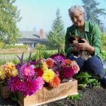 (Post) Journey To Harmony Hill: A Nurse Coach Reflection