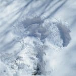 (Post) Healing With Snow Angels: A Nurse Coach Reflection