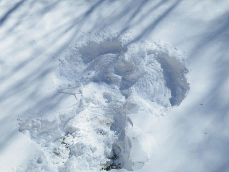 (post) Healing with Snow Angels: A Nurse Coach Reflection