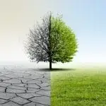 Healthy Changes