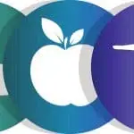 Wellness And Health