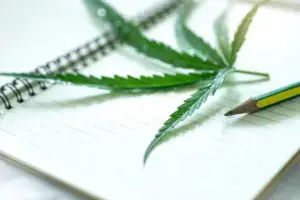 Cannabis Nurse Education