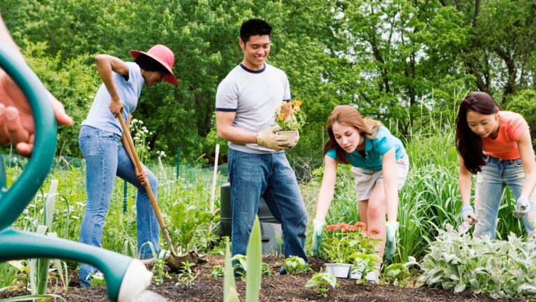 combating the loneliness epidemic with community gardens