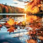 October Reflection