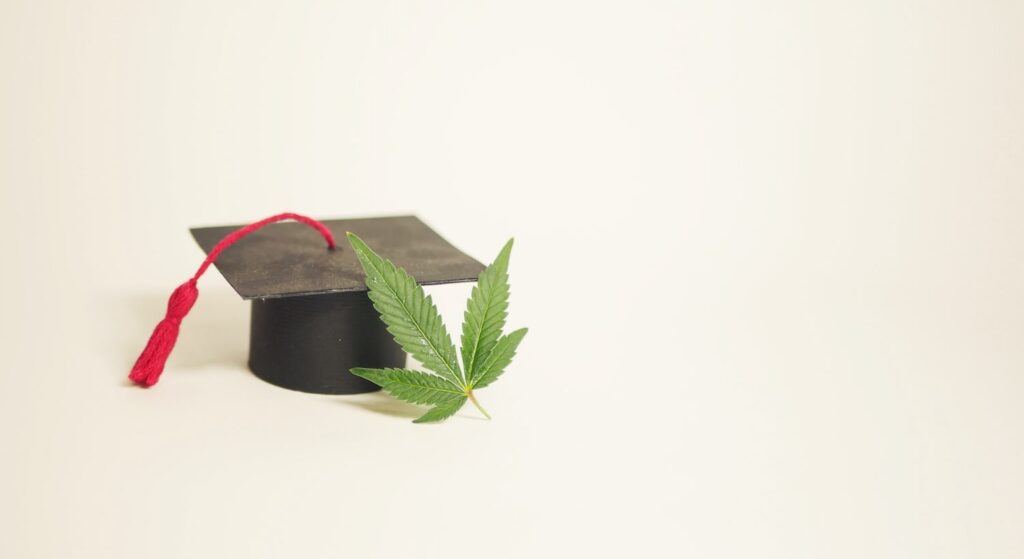 Cannabis Nursing Education