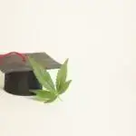 Cannabis Nursing Education