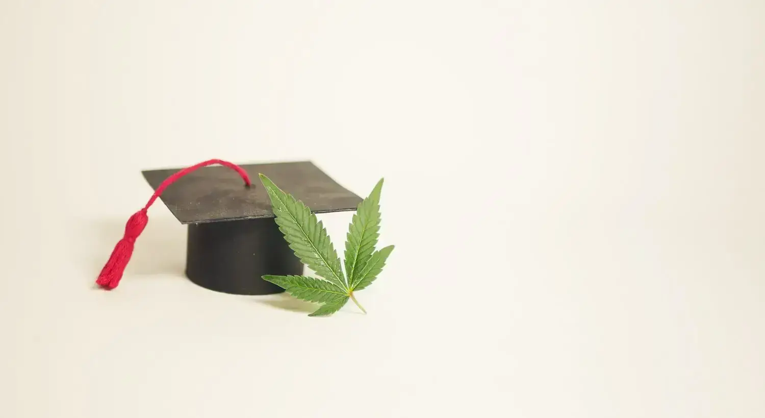 Cannabis nursing education