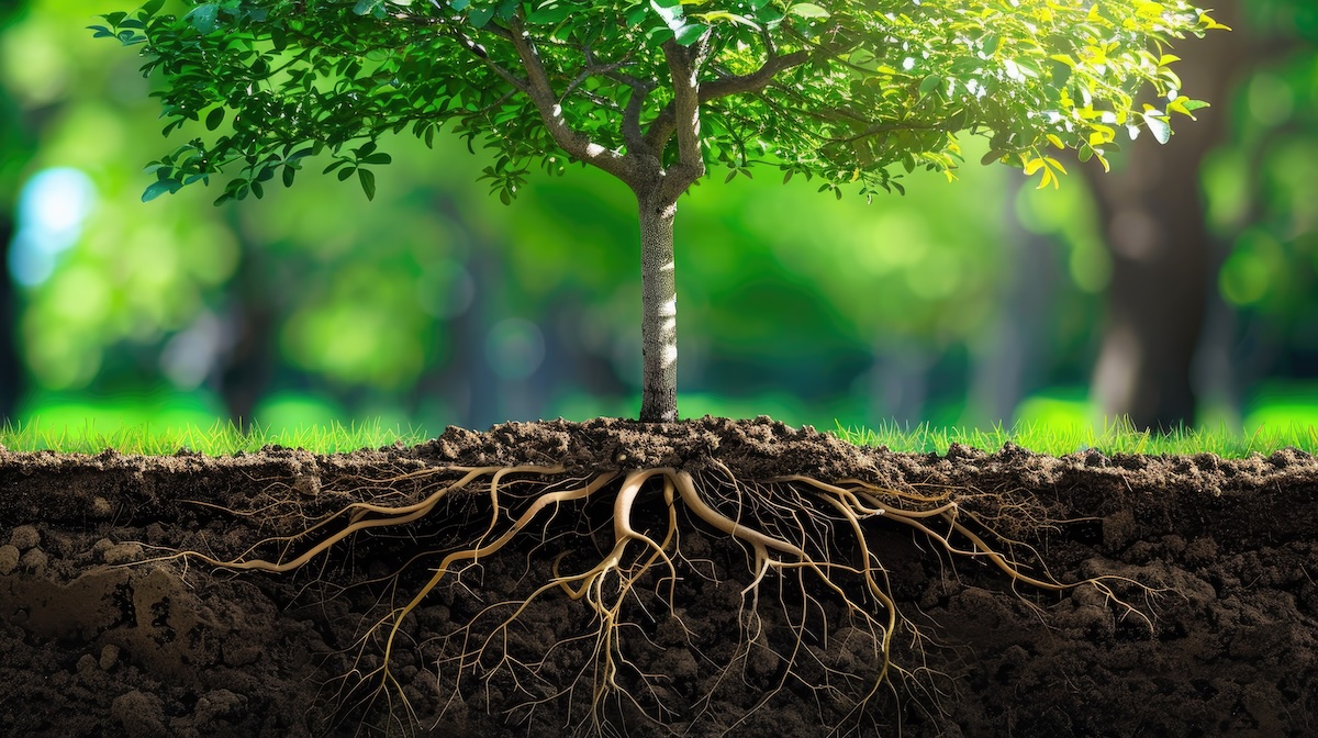 Why Functional Medicine Principles Belong in Nursing: The Rise of Functional Nursing